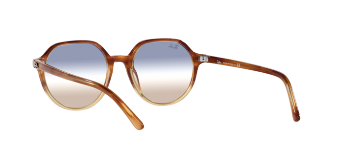 Ray-Ban RB2195 1328GD Thalia 